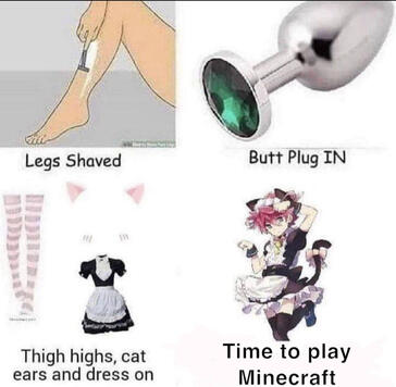 An NSFW meme about playing Minecraft